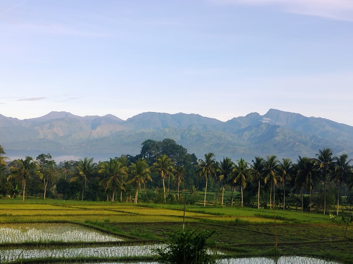 yanabi